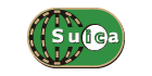 Suica
